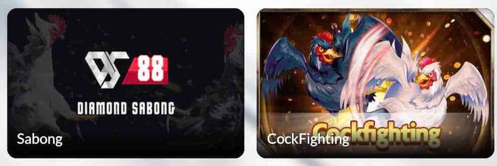 Cockfight in 22Win Casino